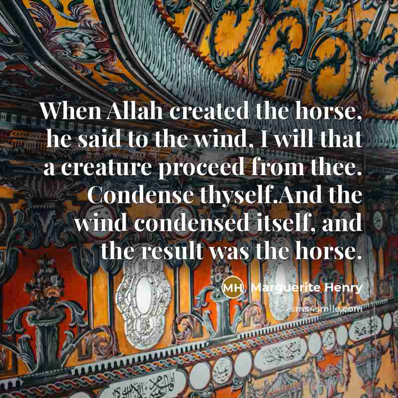 “When Allah created the horse, he said to the wind,…” quote by Marguerite Henry
