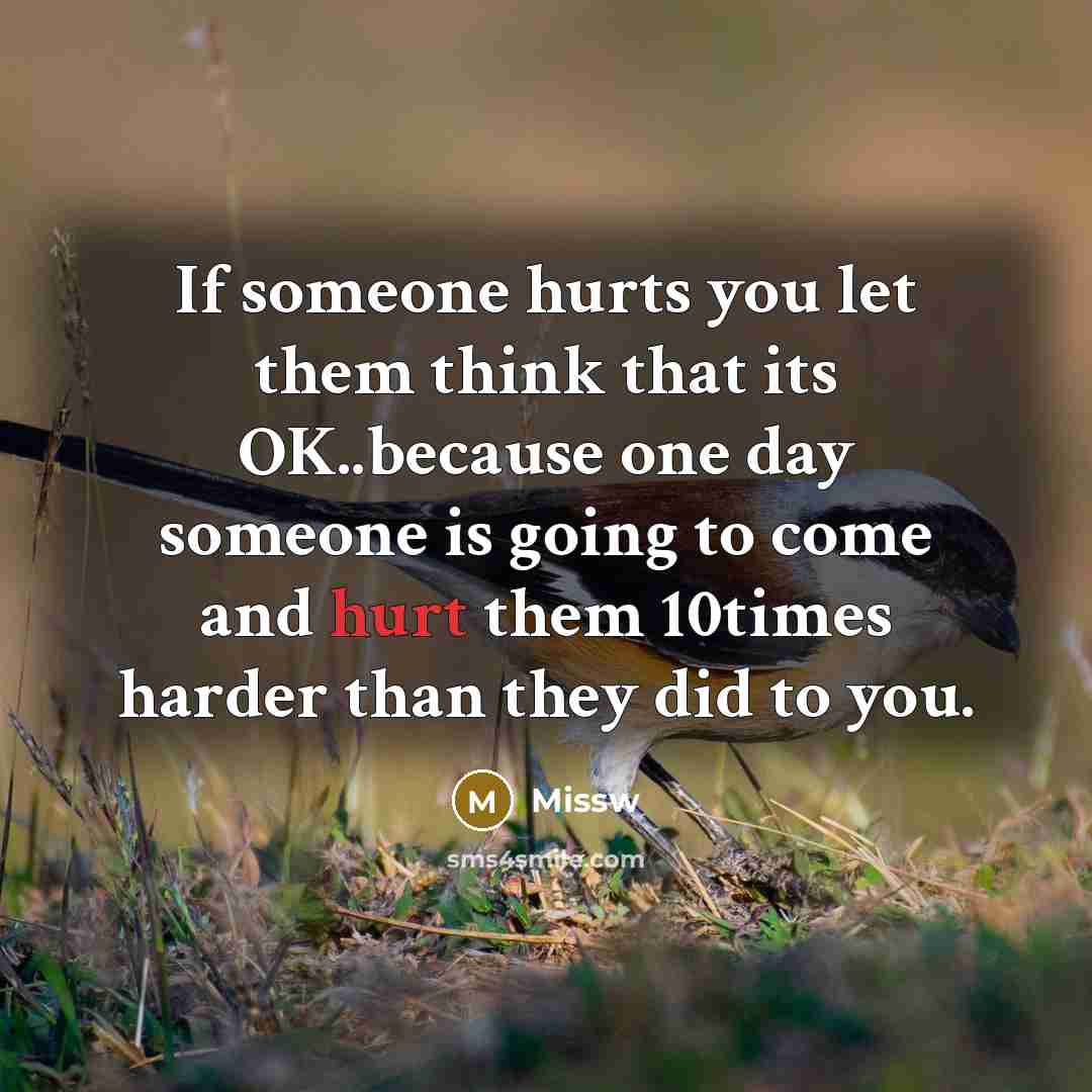 “If someone hurts you let them think that its OK..because…” quote by Missw