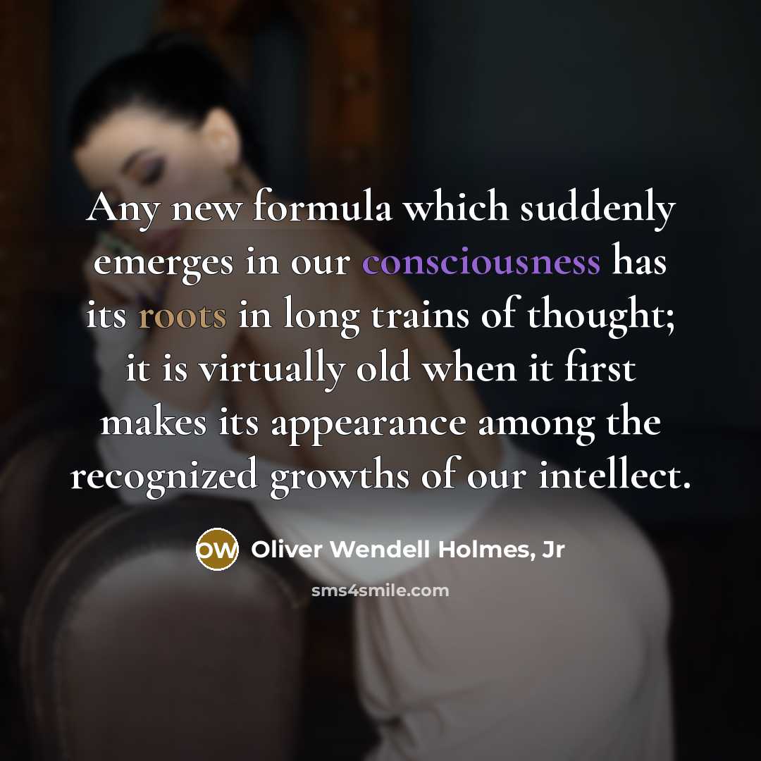 “Any new formula which suddenly emerges in our consciousness has…” quote by Oliver Wendell Holmes, Jr