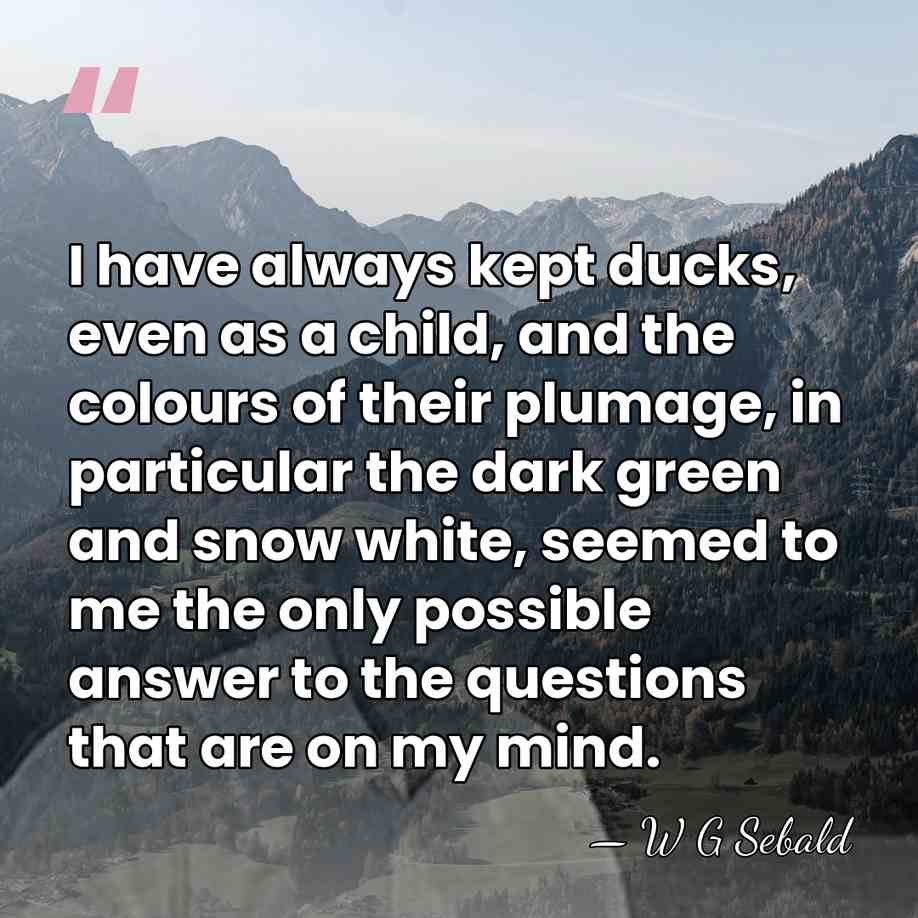 I have always kept ducks, even as a child, and the colours&hellip; - W G Sebald