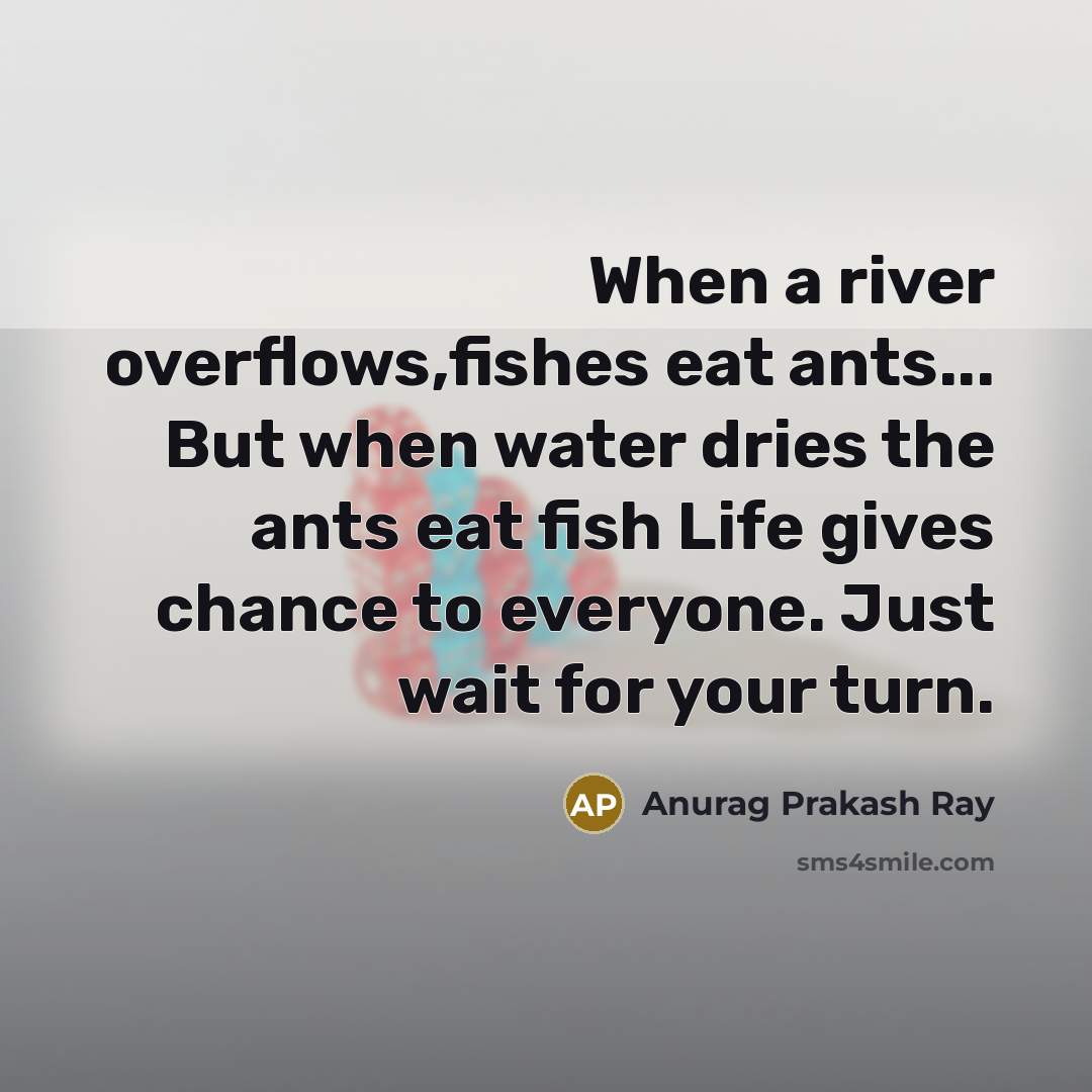 “When a river overflows,fishes eat ants... But when water dries…” quote by Anurag Prakash Ray