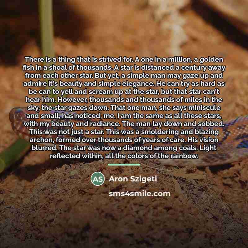 “There is a thing that is strived for. A one…” quote by Aron Szigeti