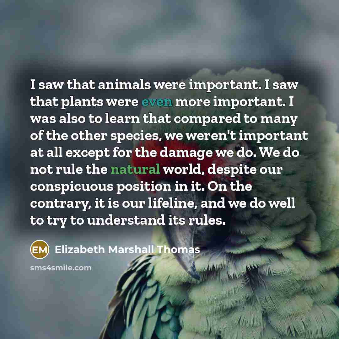 “I saw that animals were important. I saw that plants…” quote by Elizabeth Marshall Thomas