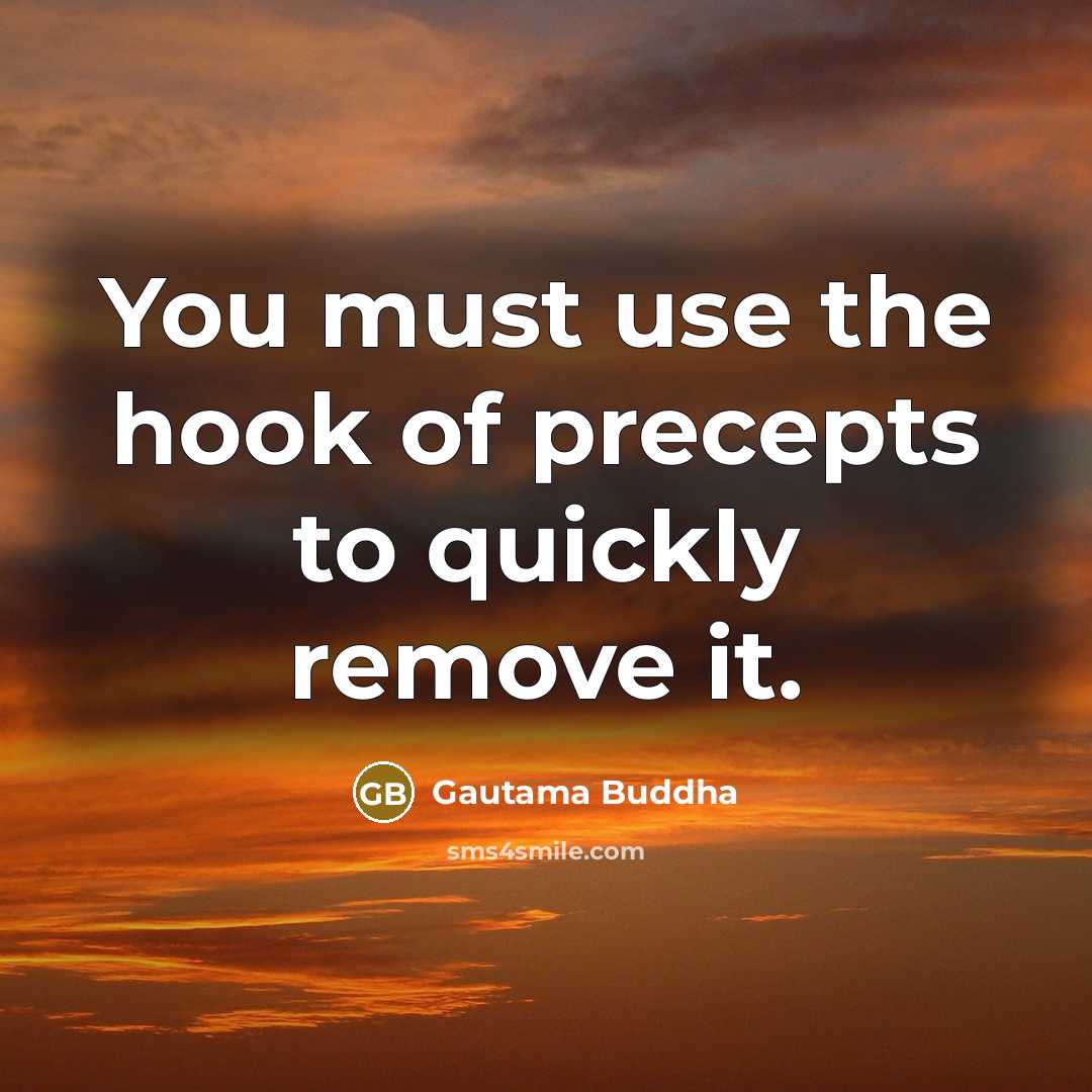 “You must use the hook of precepts to quickly remove…” quote by Gautama Buddha