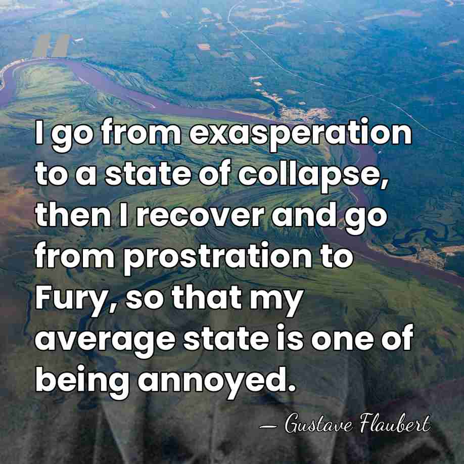 I go from exasperation to a state of collapse, then I recover&hellip; - Gustave Flaubert