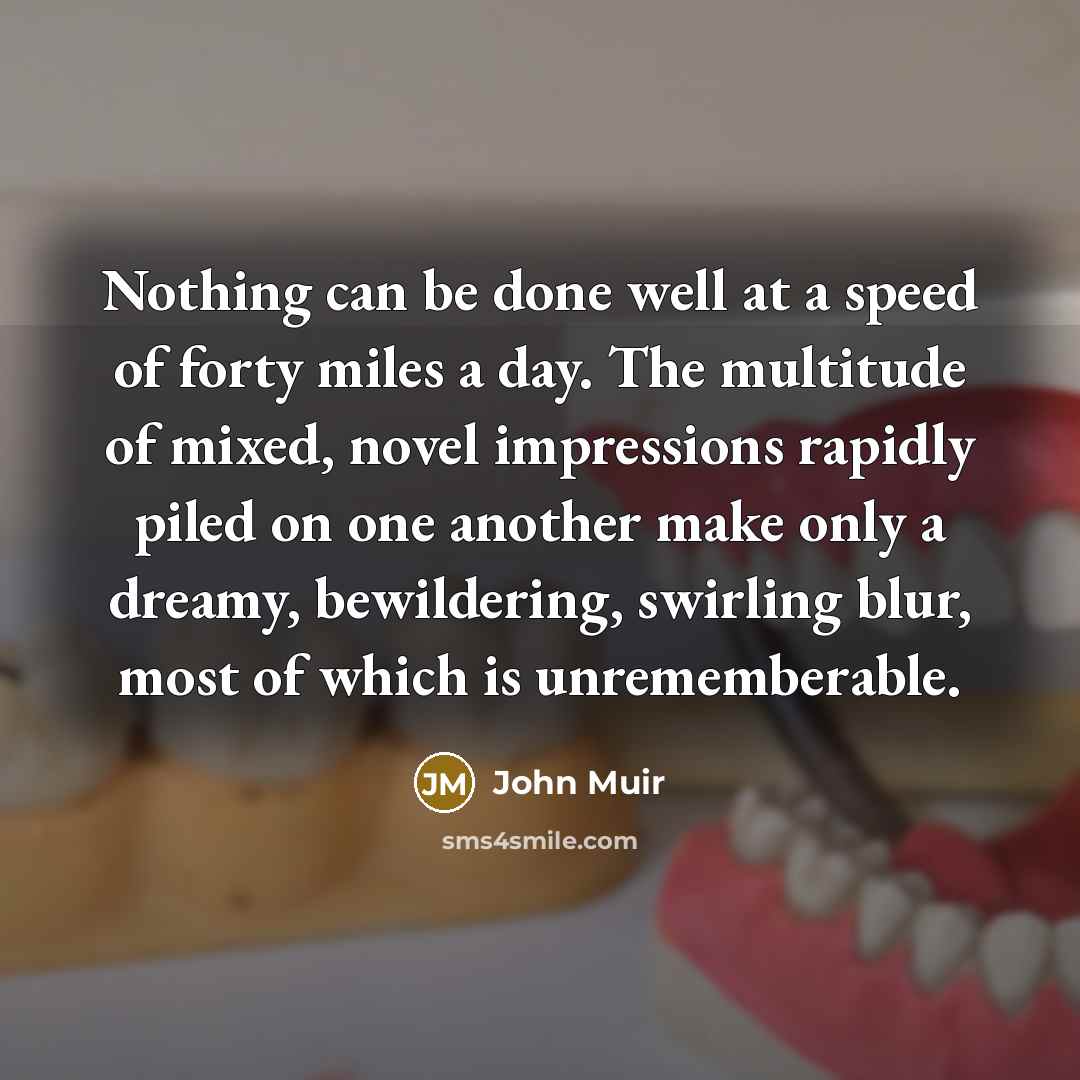 “Nothing can be done well at a speed of forty…” quote by John Muir