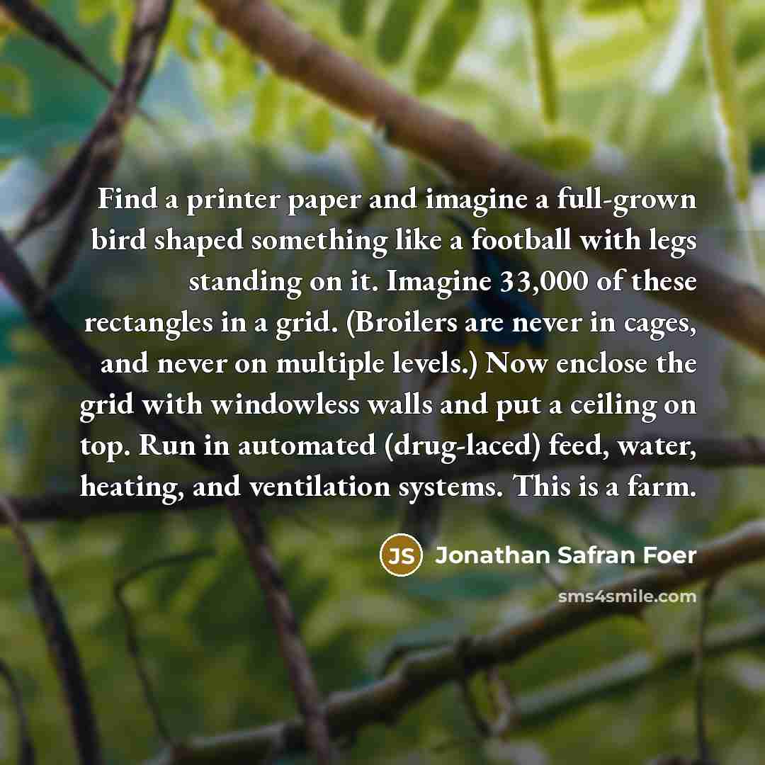 “Find a printer paper and imagine a full-grown bird shaped…” quote by Jonathan Safran Foer