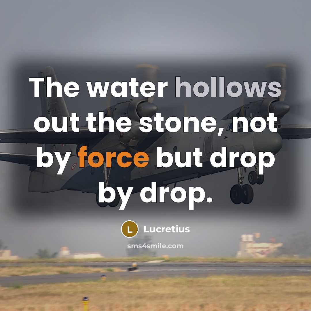 “The water hollows out the stone, not by force but drop by drop.” quote by Lucretius