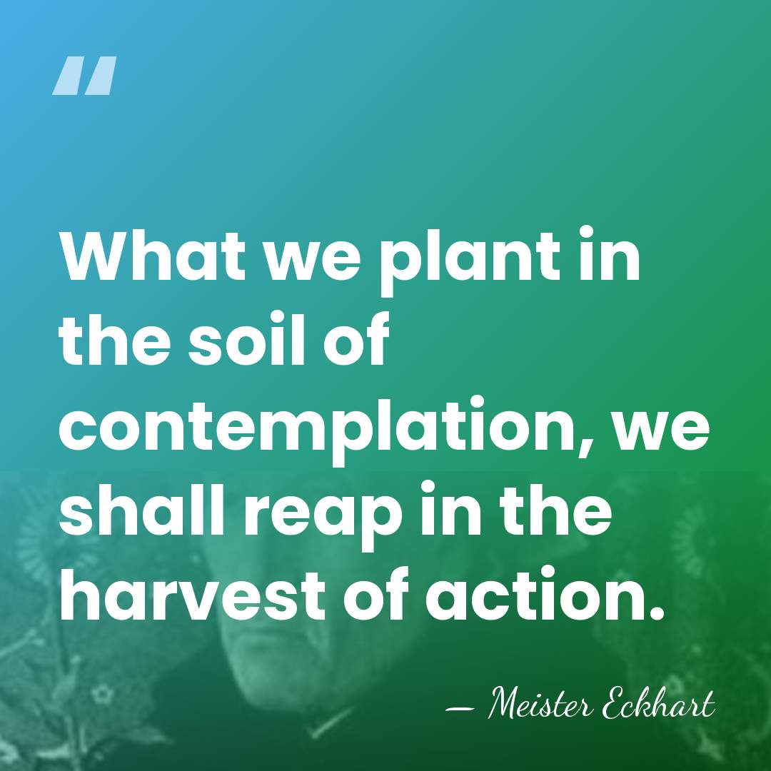 What we plant in the soil of contemplation, we shall reap in&hellip; - Meister Eckhart
