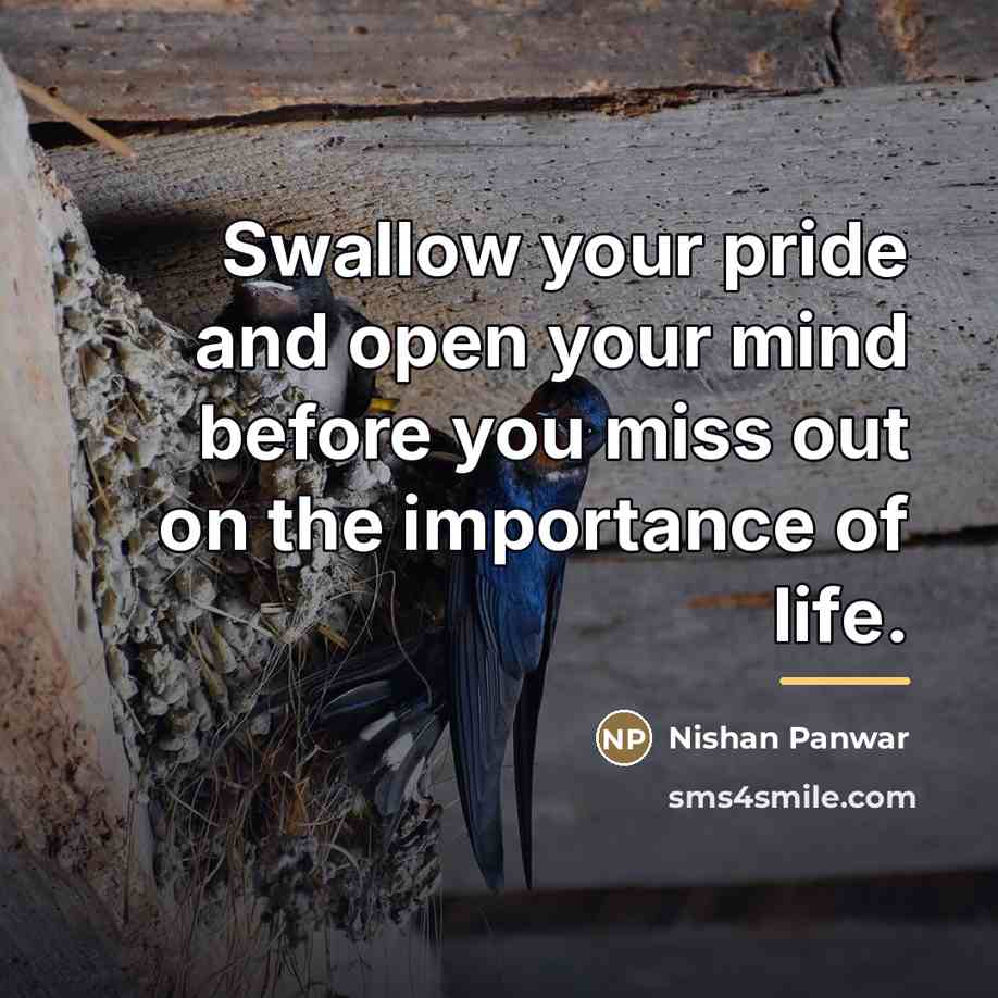 “Swallow your pride and open your mind before you miss…” quote by Nishan Panwar