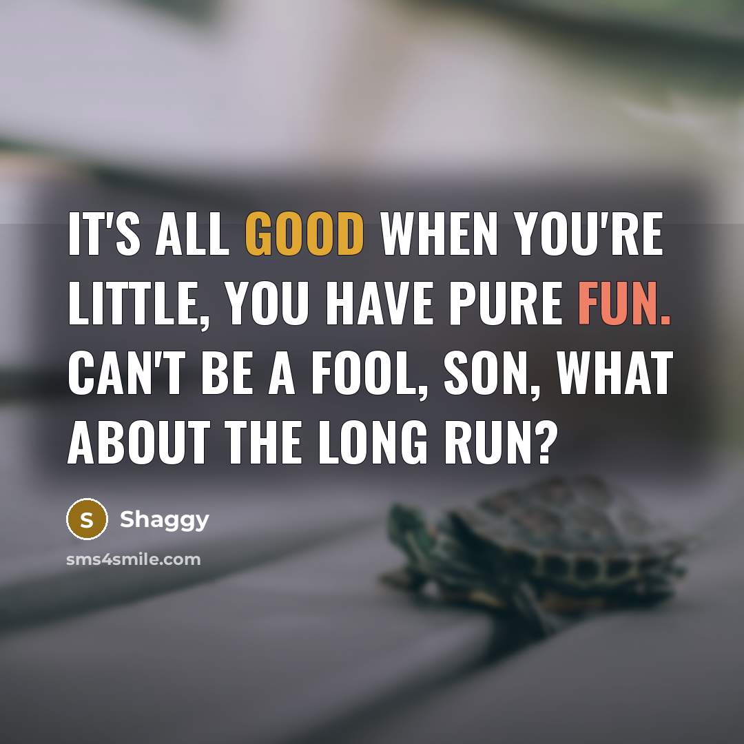“It's all good when you're little, you have pure fun. Can't be a fool, son, what about the long run?” quote by Shaggy