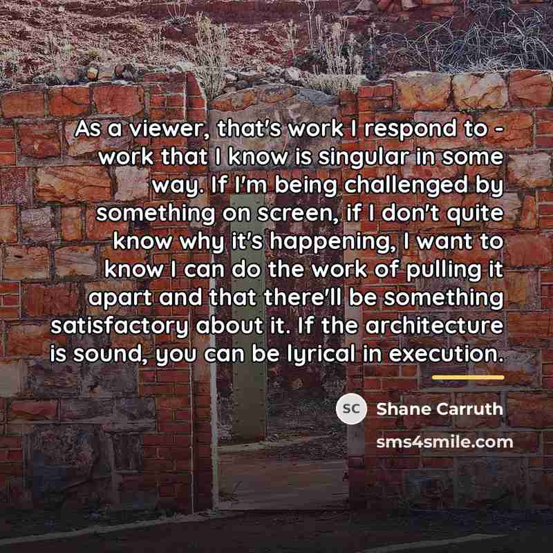 “As a viewer, that's work I respond to - work…” quote by Shane Carruth
