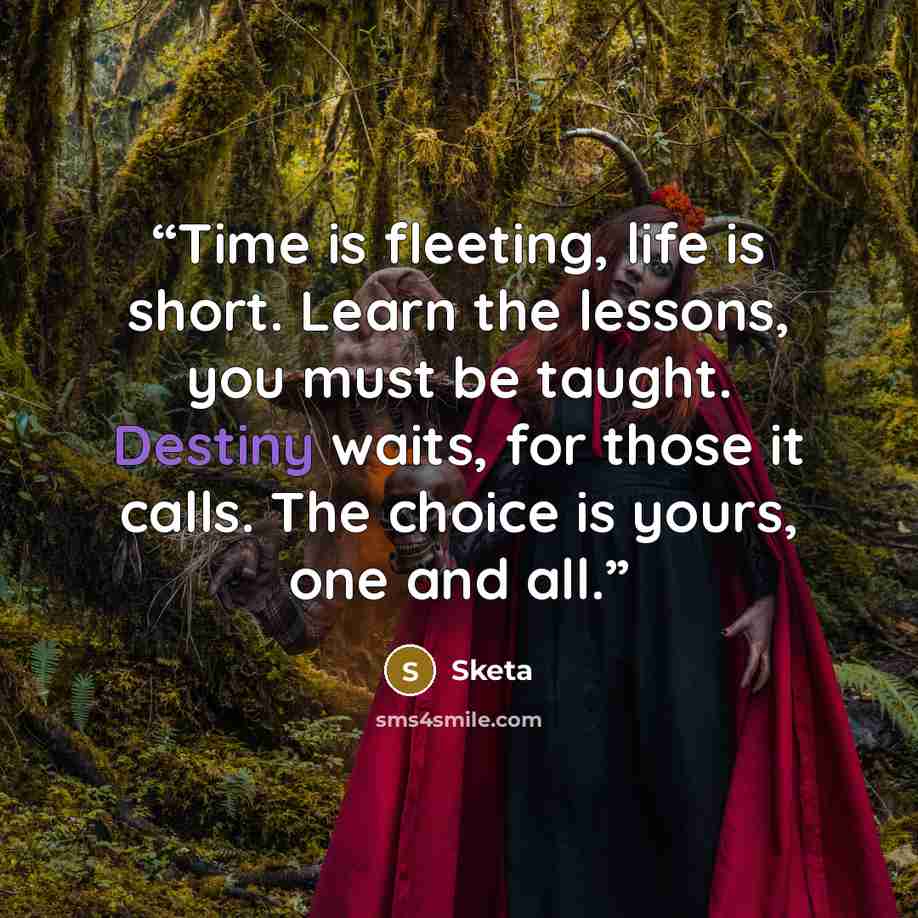 “Time is fleeting, life is short. Learn the lessons, you must be taught. Destiny waits, for those it calls. The choice is yours, one and all.” quote by Sketa