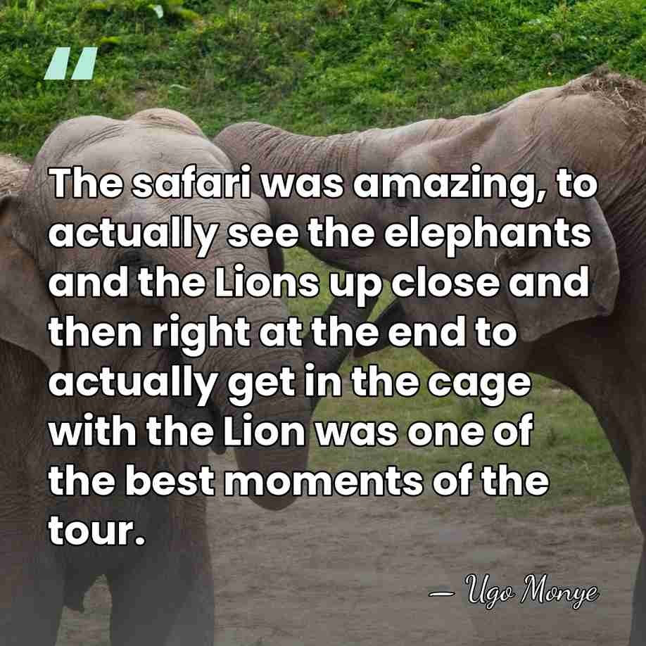 The safari was amazing, to actually see the elephants and the Lions&hellip; - Ugo Monye