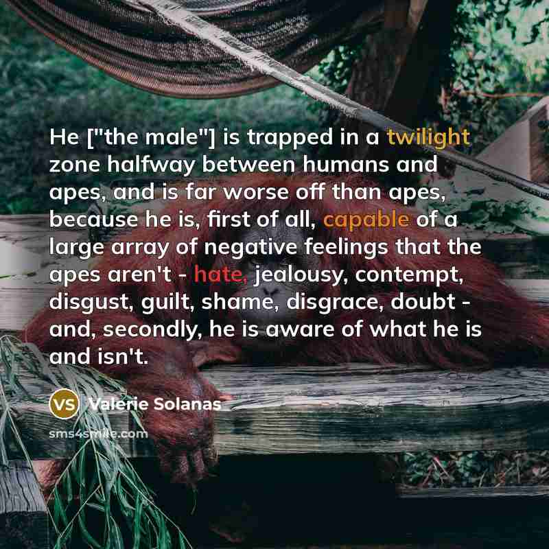 “He ["the male"] is trapped in a twilight zone halfway…” quote by Valerie Solanas