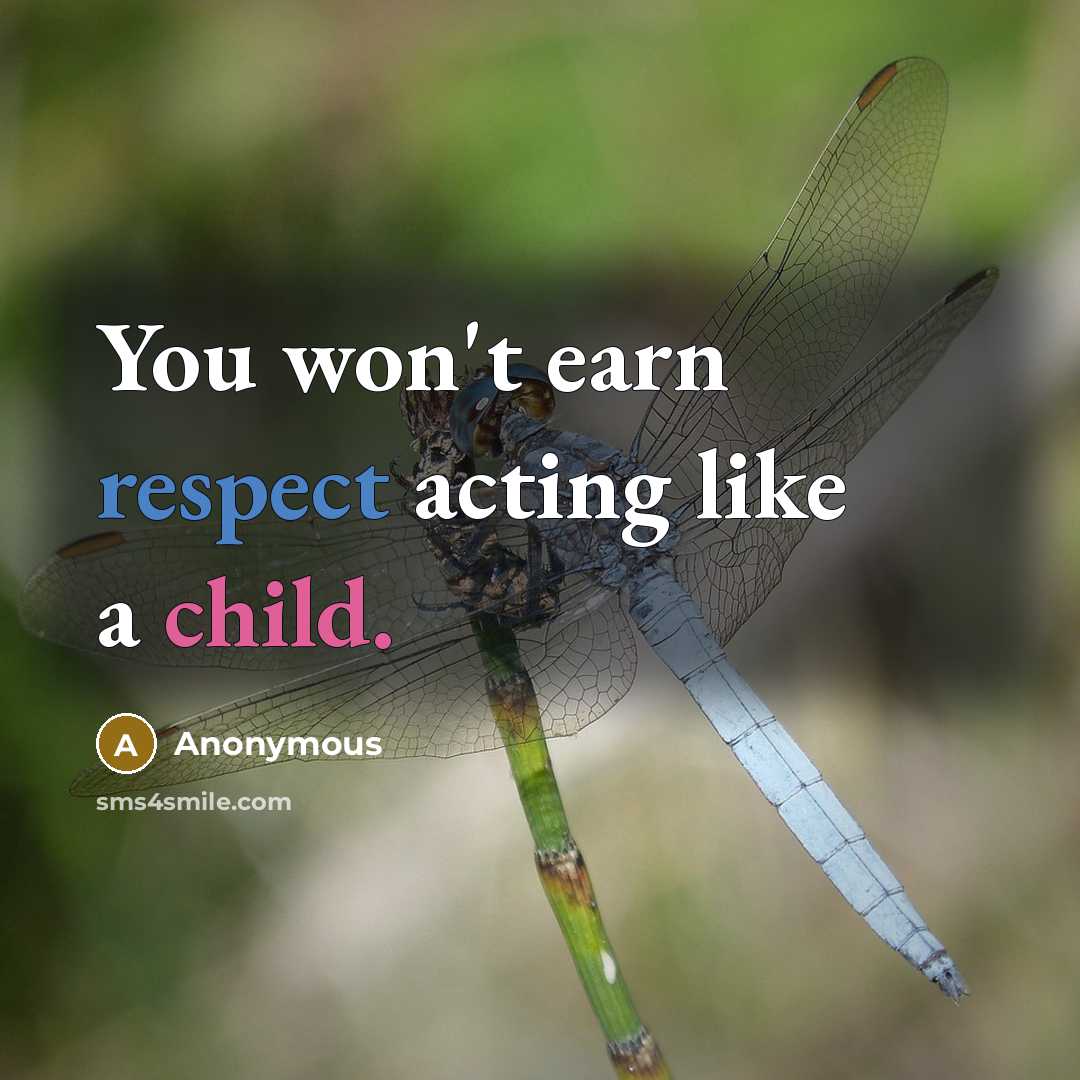 “You won't earn respect acting like a child.…” quote by Anonymous