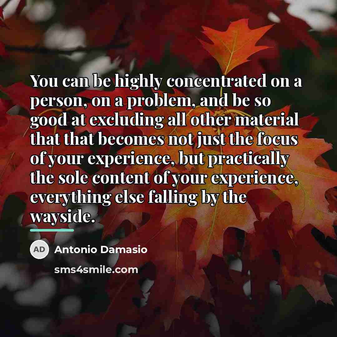 “You can be highly concentrated on a person, on a…” quote by Antonio Damasio