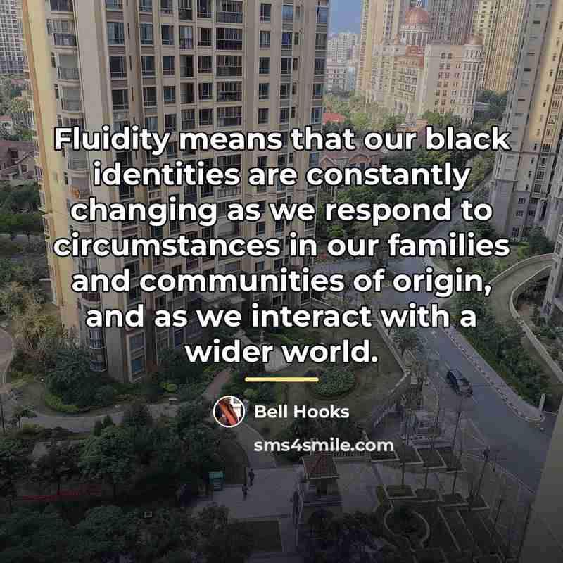 “Fluidity means that our black identities are constantly changing as…” quote by Bell Hooks