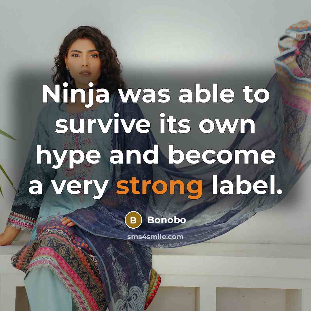 “Ninja was able to survive its own hype and become…” quote by Bonobo