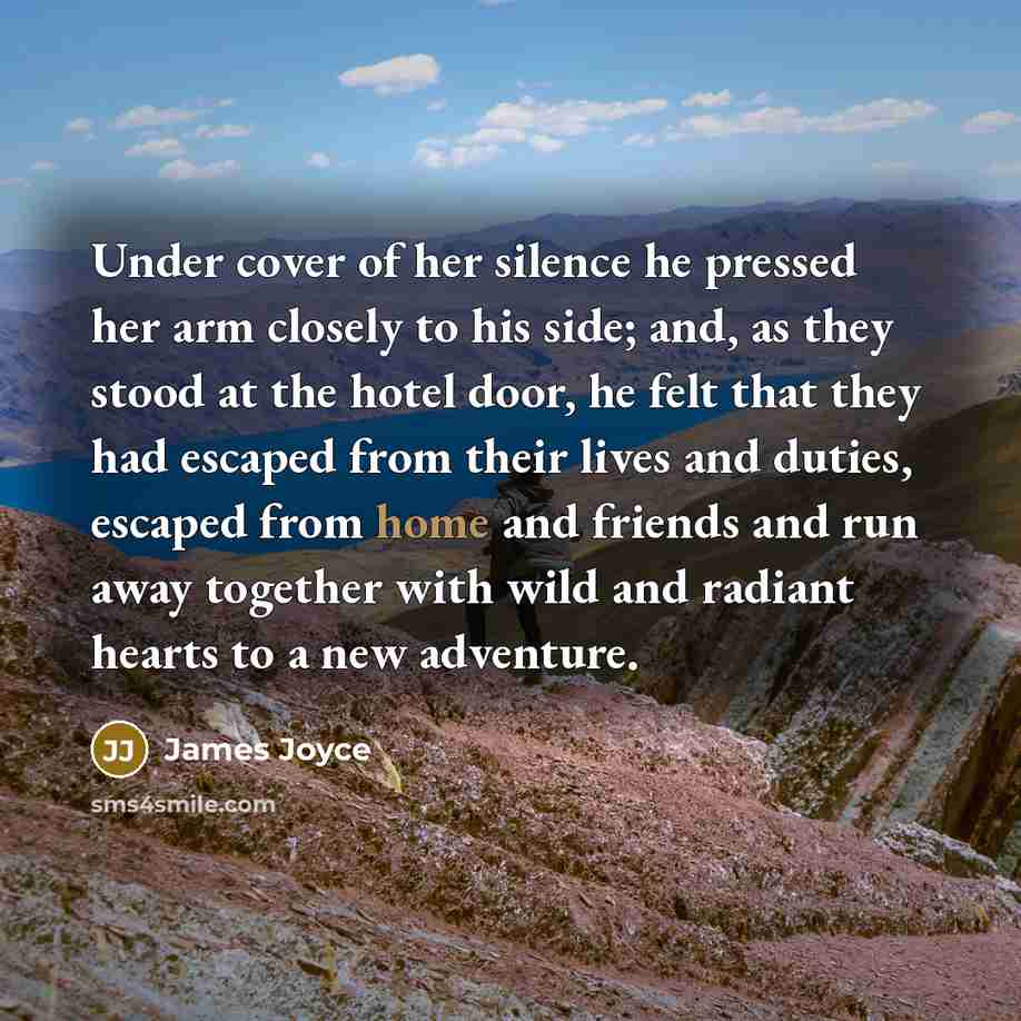 “Under cover of her silence he pressed her arm closely…” quote by James Joyce