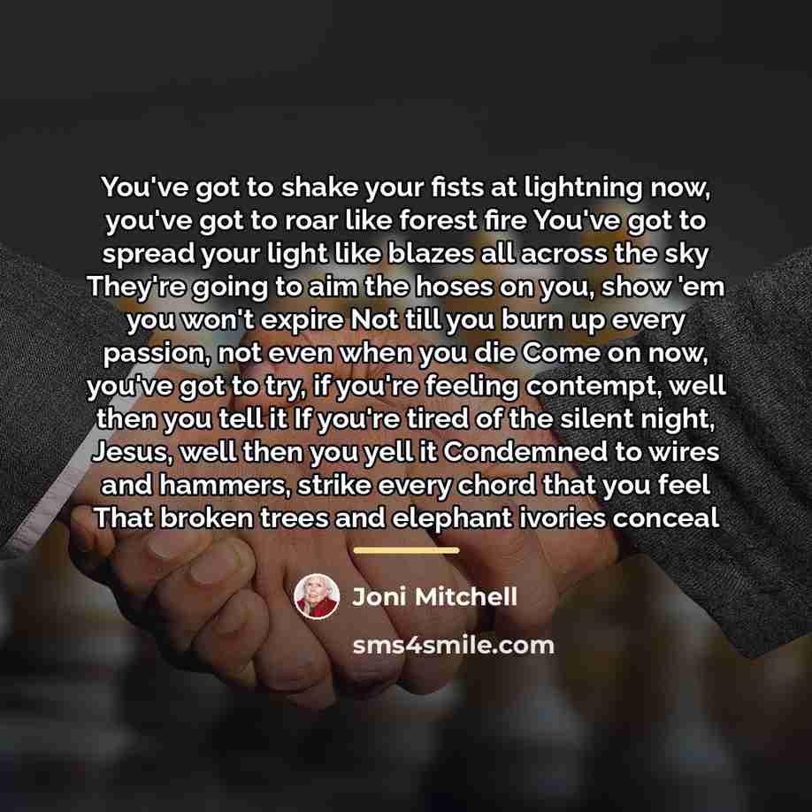 “You've got to shake your fists at lightning now, you've…” quote by Joni Mitchell