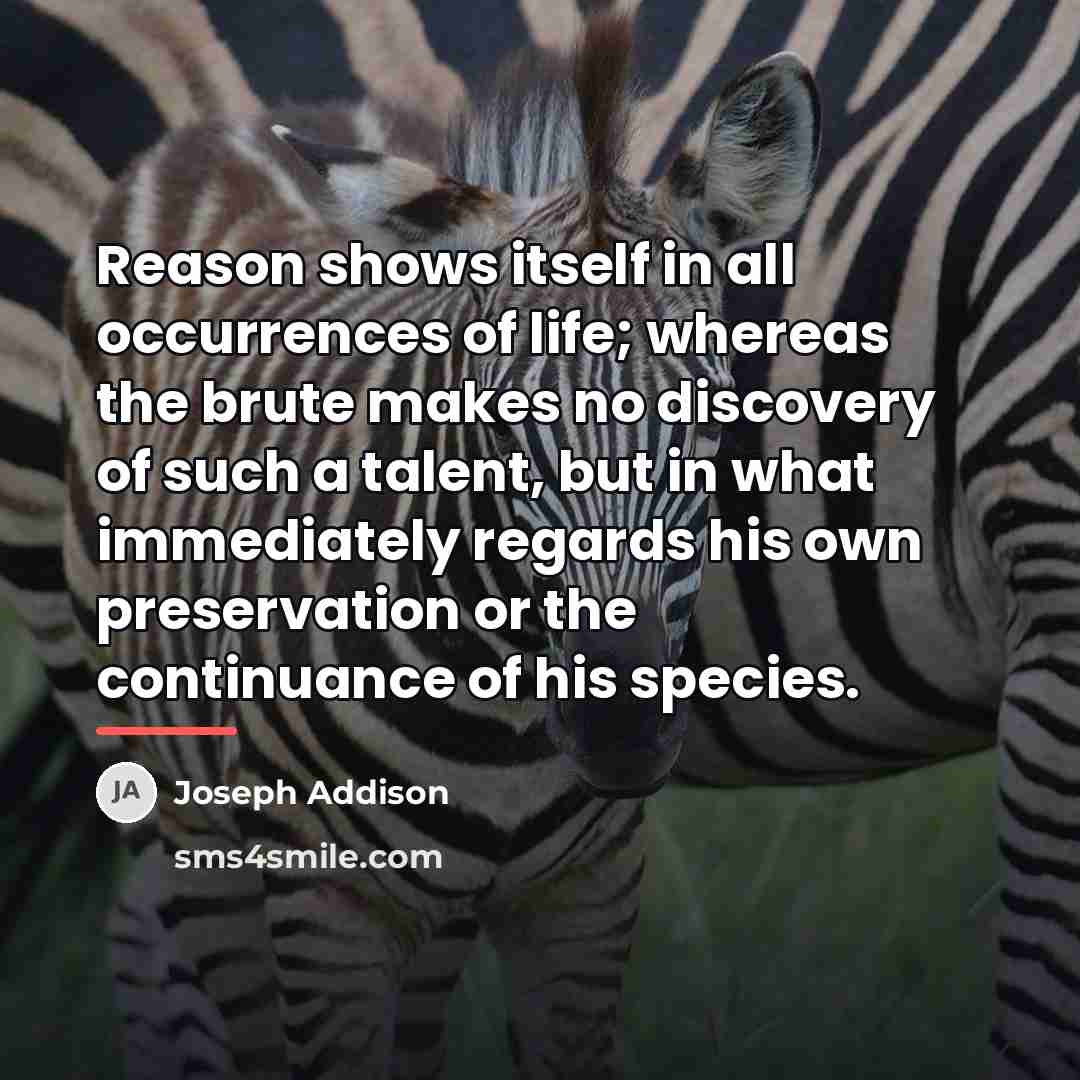 “Reason shows itself in all occurrences of life; whereas the…” quote by Joseph Addison