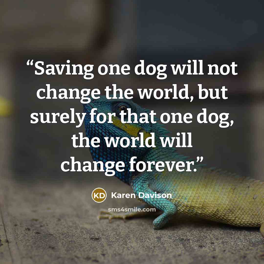 “Saving one dog will not change the world, but surely for that one dog, the world will change forever.” quote by Karen Davison