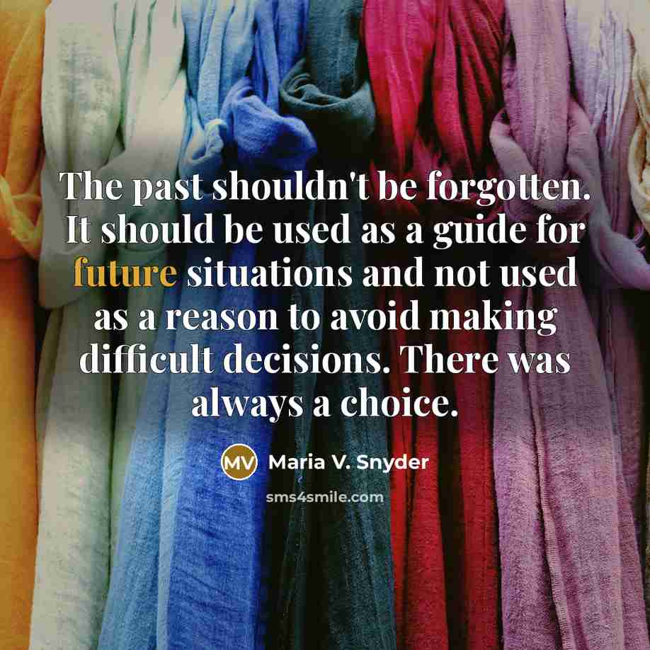 “The past shouldn't be forgotten. It should be used as…” quote by Maria V. Snyder