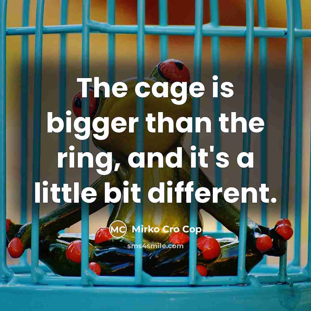 “The cage is bigger than the ring, and it's a…” quote by Mirko Cro Cop
