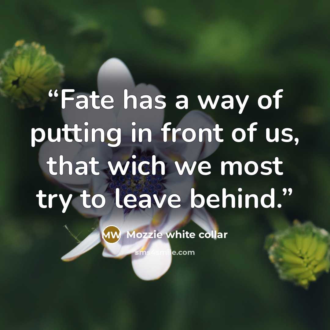 “Fate has a way of putting in front of us, that wich we most try to leave behind.” quote by Mozzie white collar