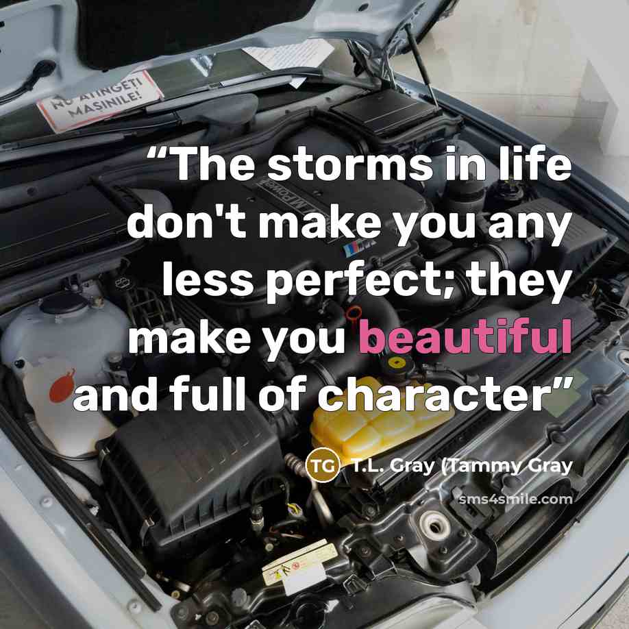 “The storms in life don't make you any less perfect; they make you beautiful and full of character” quote by T.L. Gray (Tammy Gray