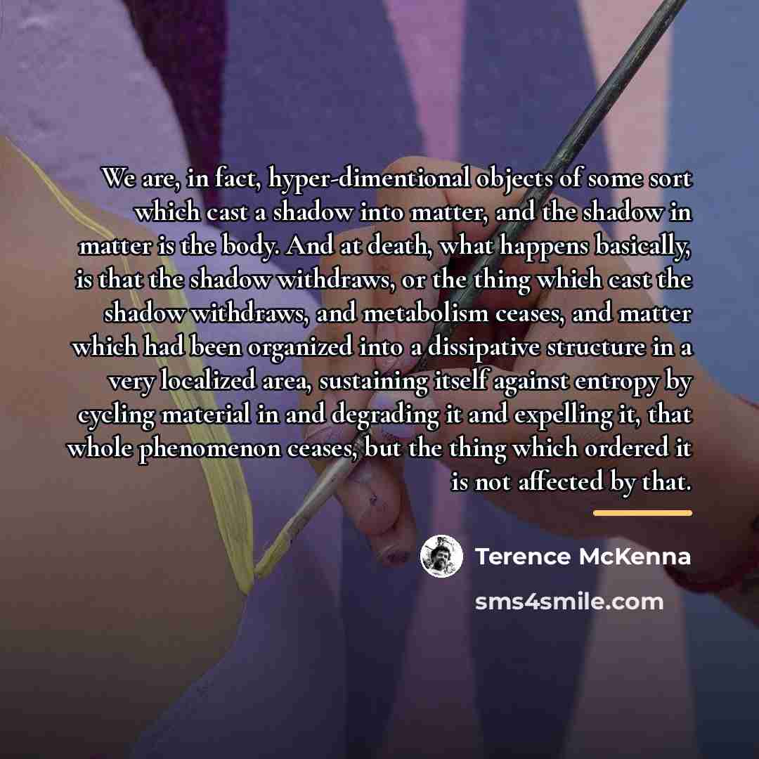 “We are, in fact, hyper-dimentional objects of some sort which…” quote by Terence McKenna