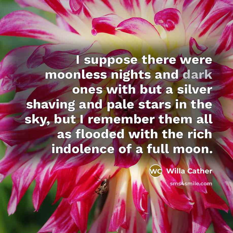 “I suppose there were moonless nights and dark ones with…” quote by Willa Cather