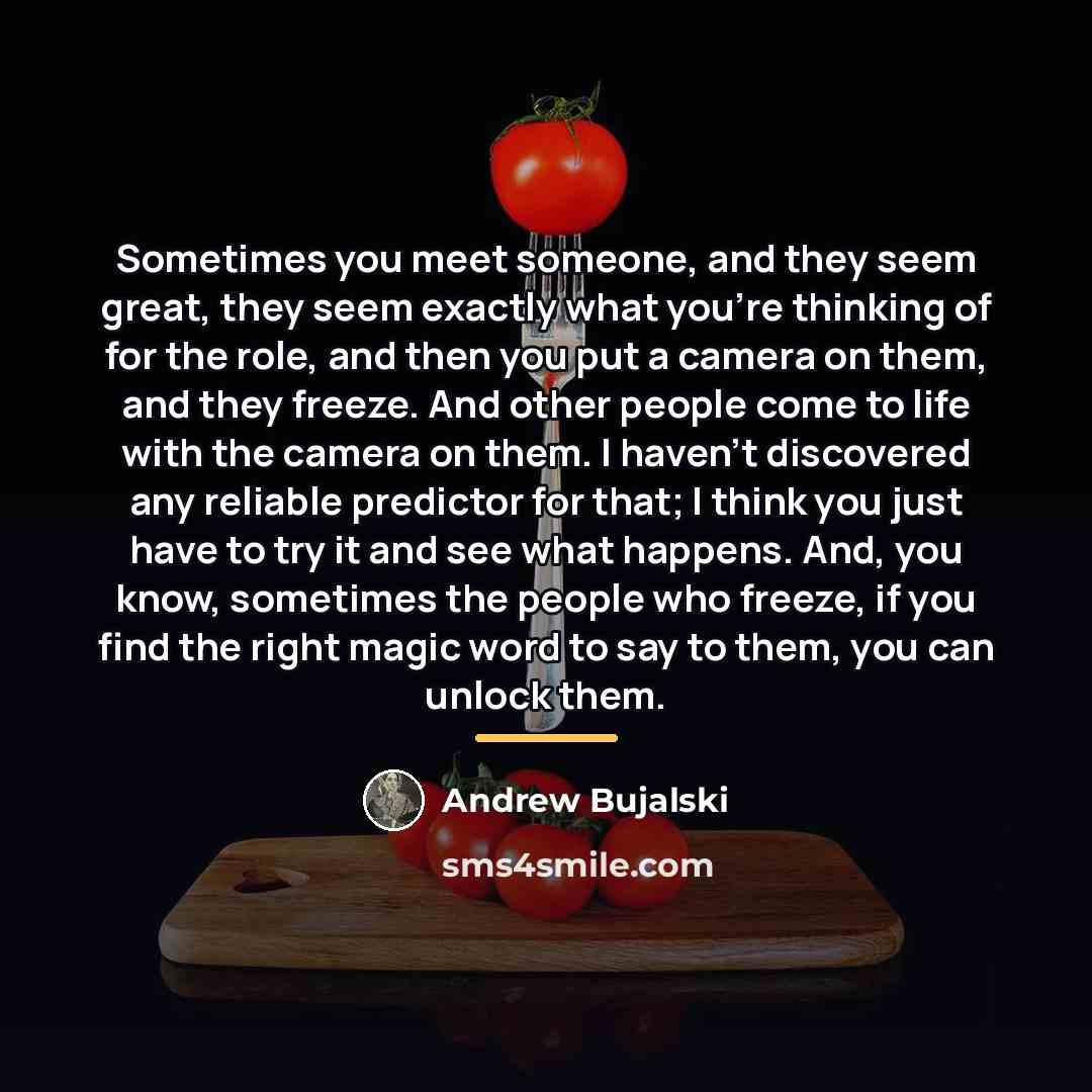 “Sometimes you meet someone, and they seem great, they seem…” quote by Andrew Bujalski