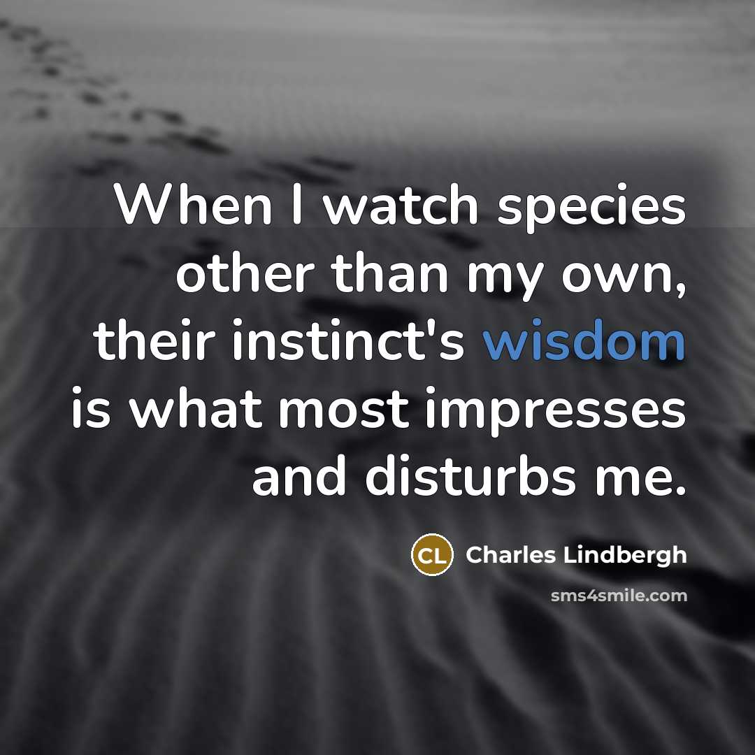 “When I watch species other than my own, their instinct's wisdom is what most impresses and disturbs me.” quote by Charles Lindbergh
