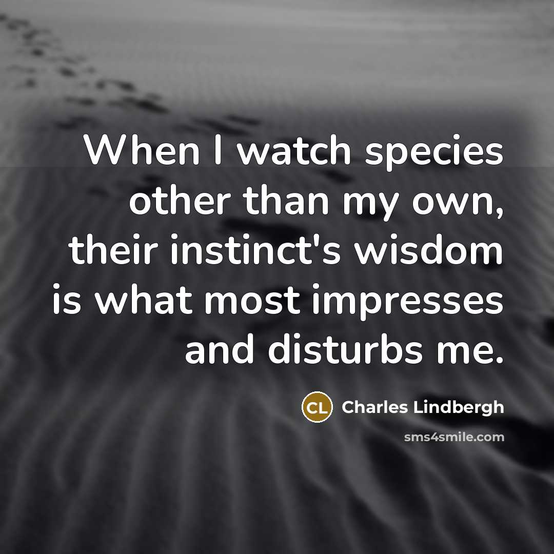 “When I watch species other than my own, their instinct's…” quote by Charles Lindbergh