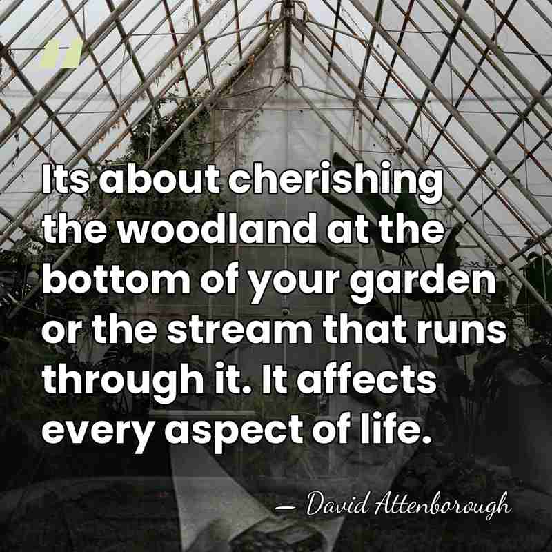 Its about cherishing the woodland at the bottom of your garden or&hellip; - David Attenborough