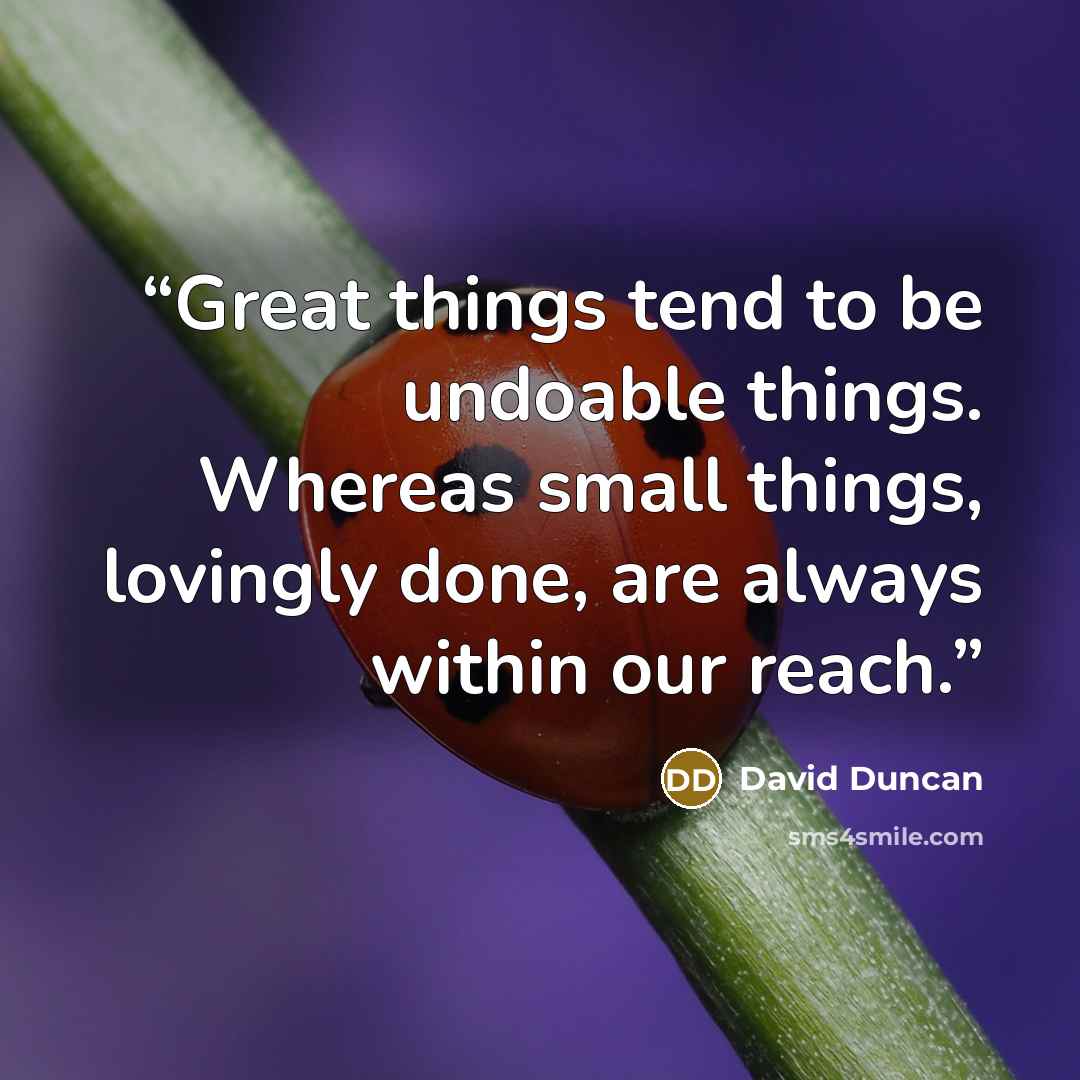 “Great things tend to be undoable things. Whereas small things, lovingly done, are always within our reach.” quote by David Duncan