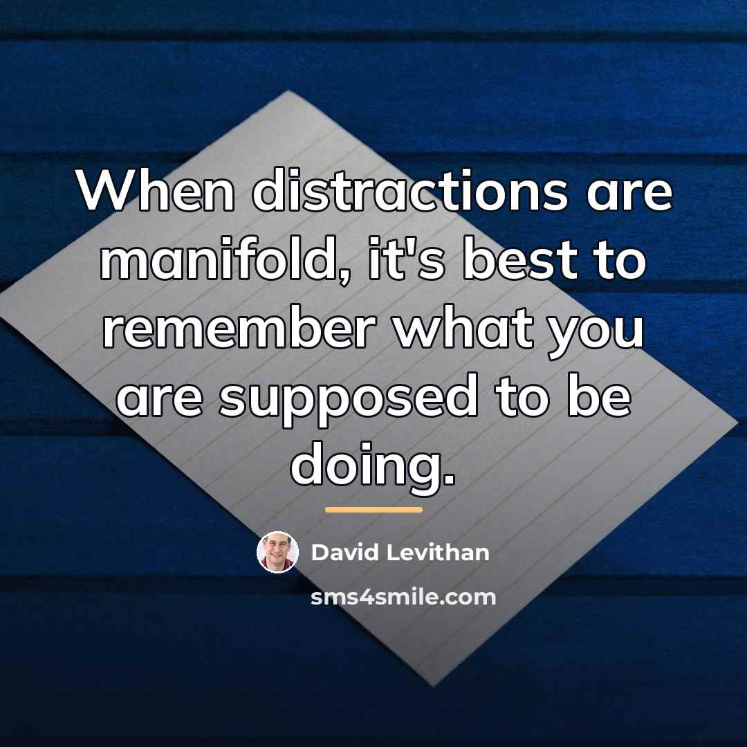 “When distractions are manifold, it's best to remember what you…” quote by David Levithan