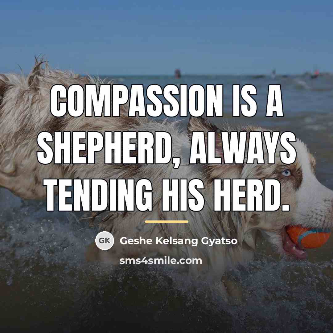 “Compassion is a Shepherd, Always tending his herd.…” quote by Geshe Kelsang Gyatso