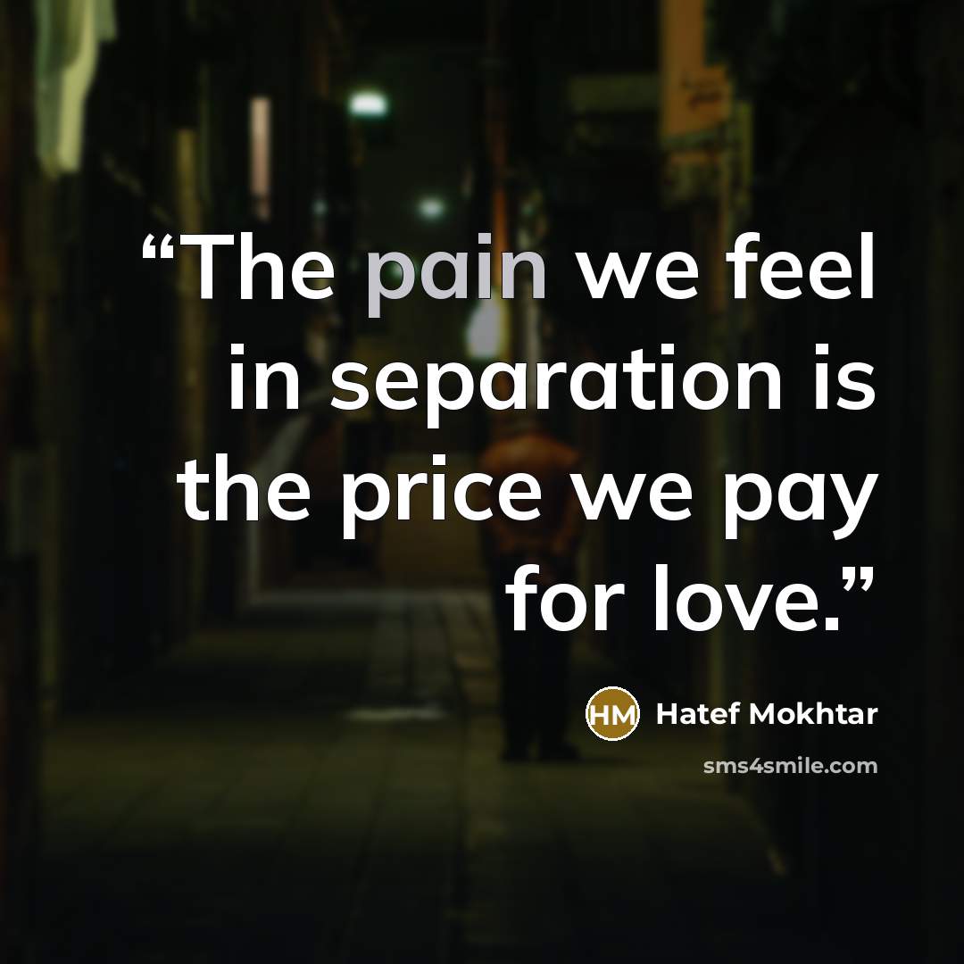 “The pain we feel in separation is the price we pay for love.” quote by Hatef Mokhtar