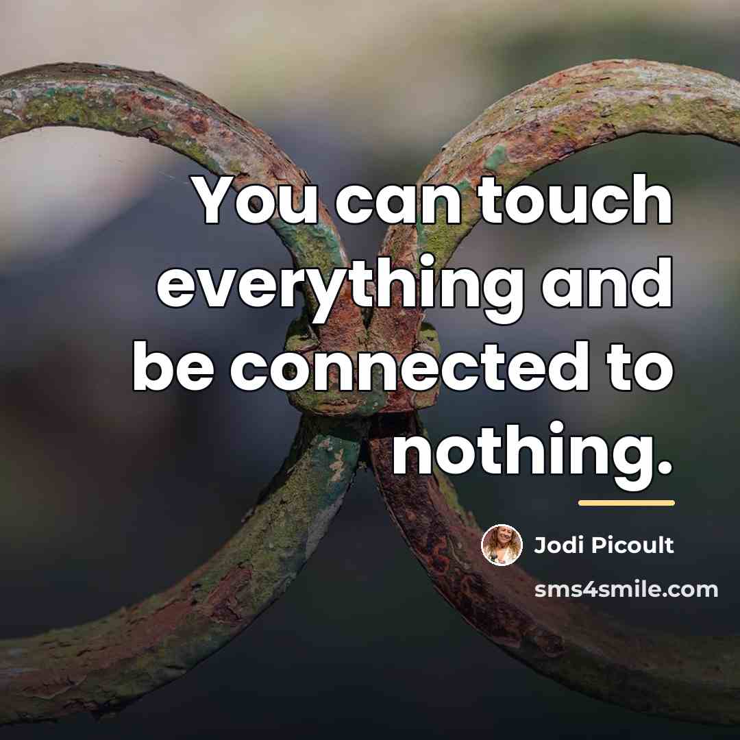 “You can touch everything and be connected to nothing.…” quote by Jodi Picoult