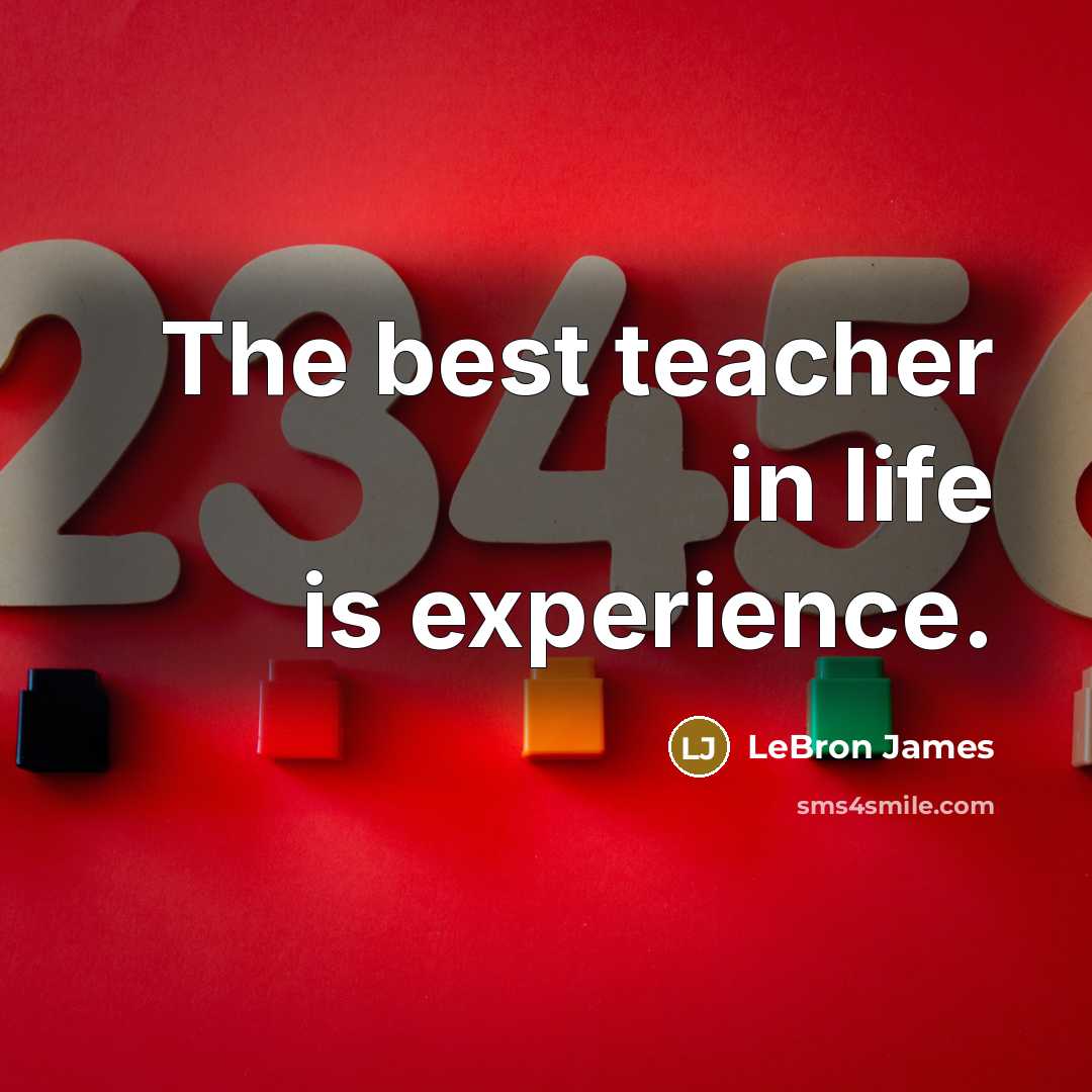 “The best teacher in life is experience.…” quote by LeBron James