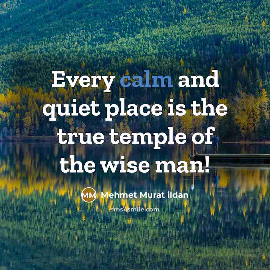 “Every calm and quiet place is the true temple of…” quote by Mehmet Murat Ildan