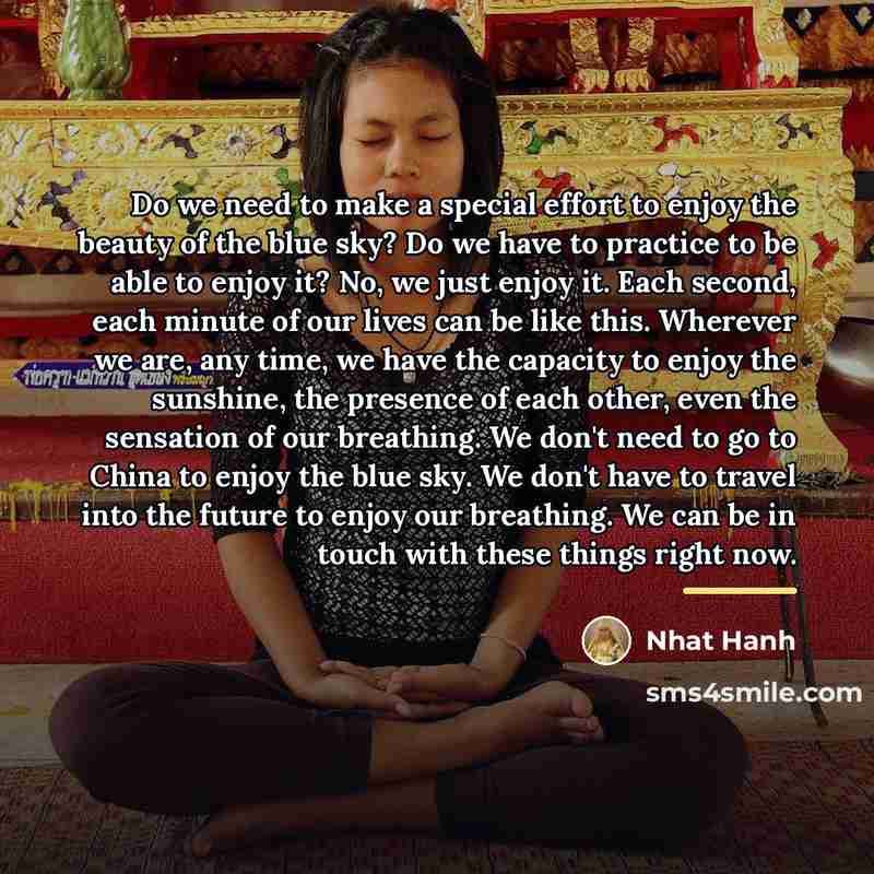 “Do we need to make a special effort to enjoy…” quote by Nhat Hanh