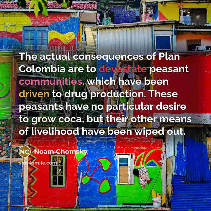 “The actual consequences of Plan Colombia are to devastate peasant…” quote by Noam Chomsky