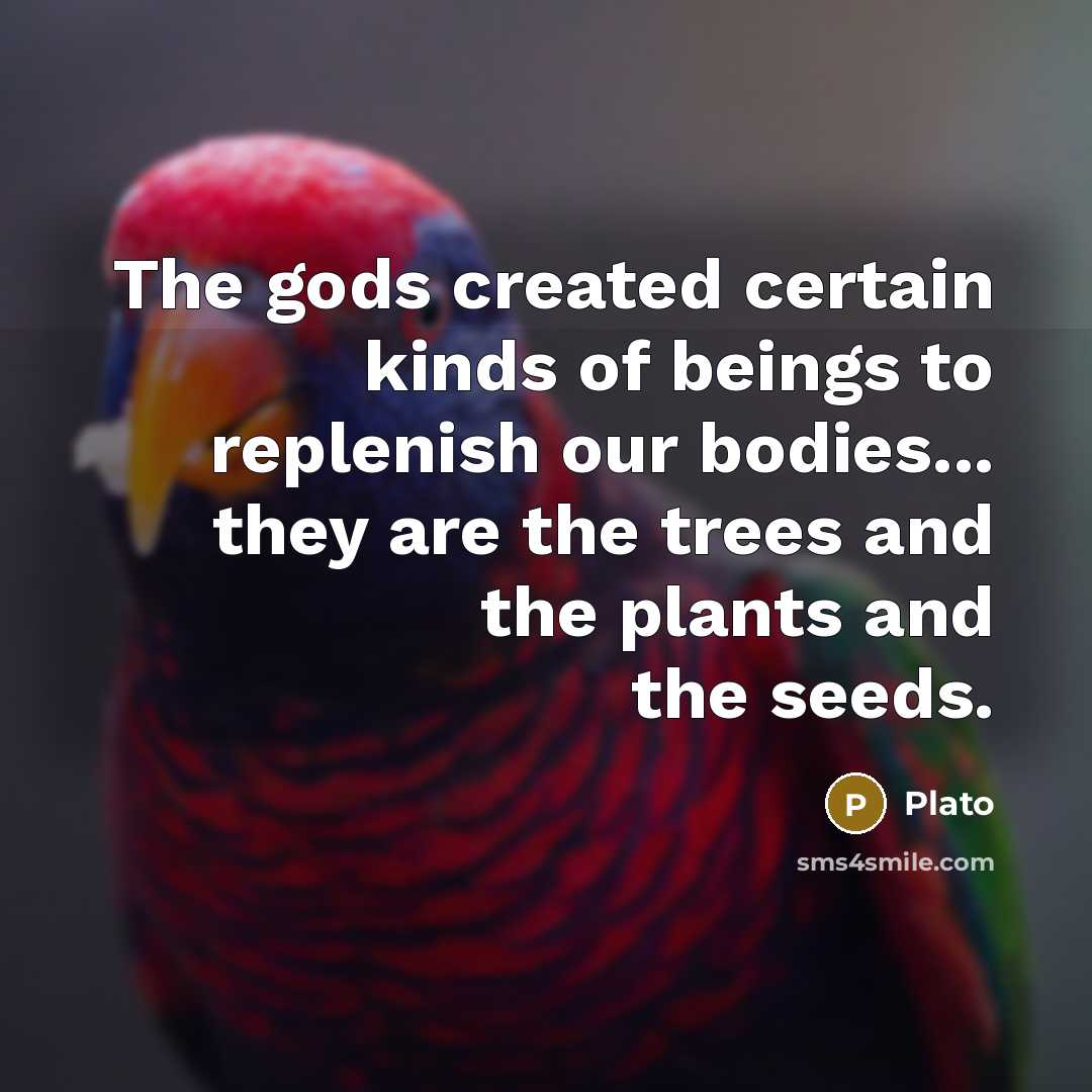 “The gods created certain kinds of beings to replenish our…” quote by Plato