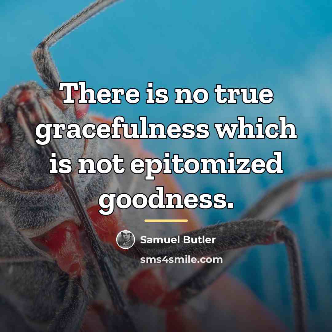 “There is no true gracefulness which is not epitomized goodness.…” quote by Samuel Butler