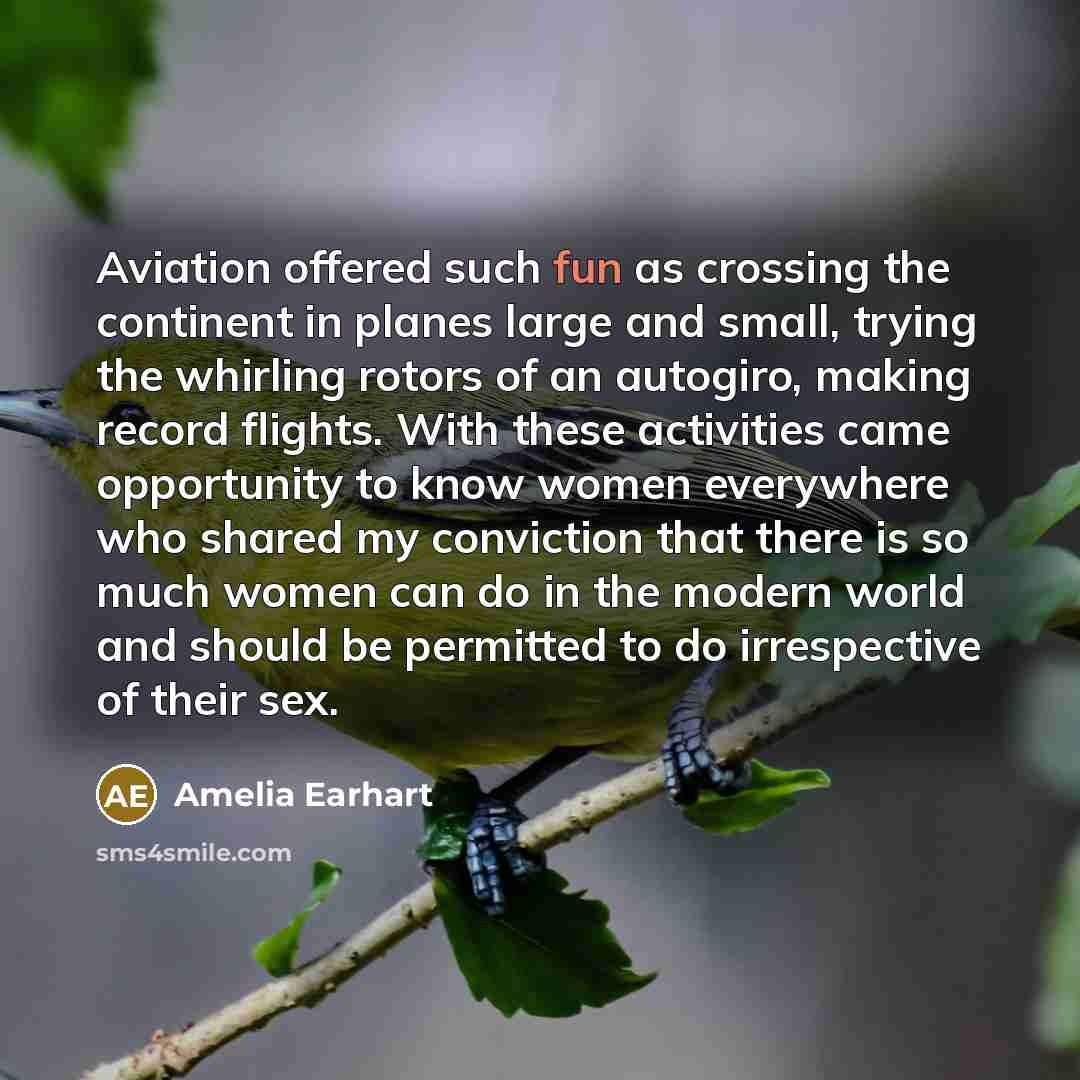 “Aviation offered such fun as crossing the continent in planes…” quote by Amelia Earhart