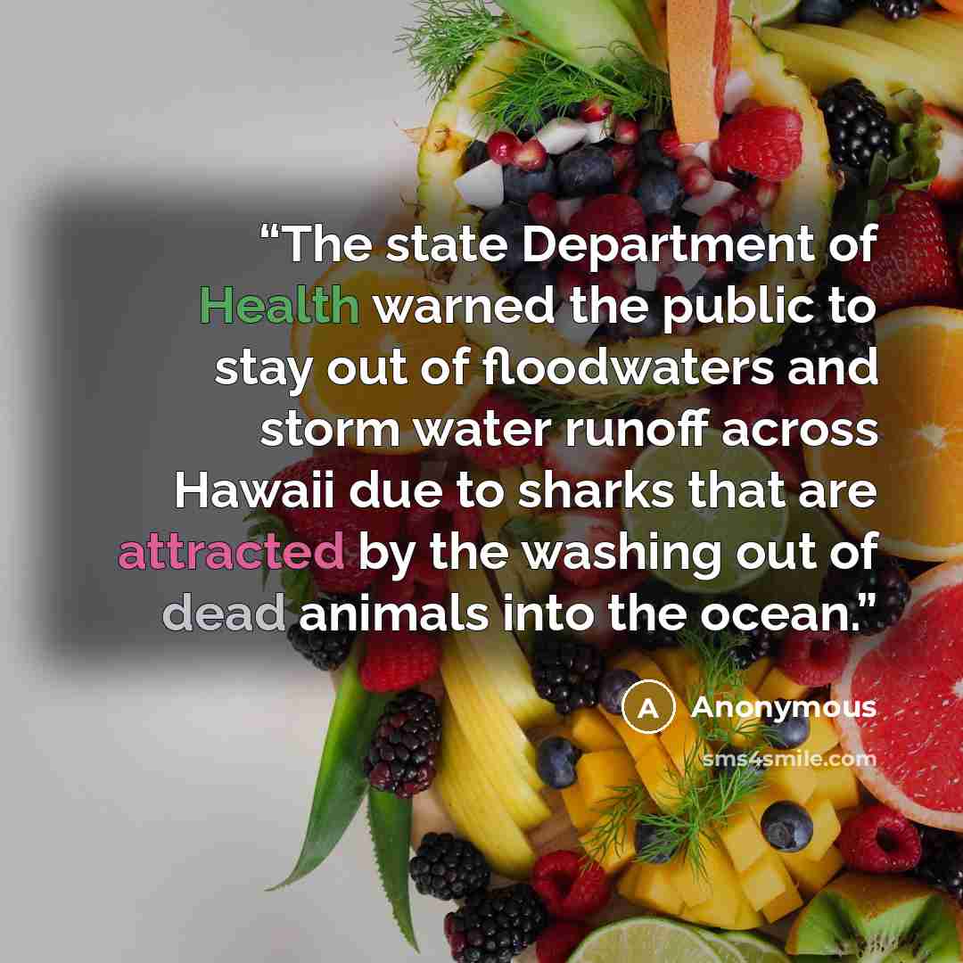 “The state Department of Health warned the public to stay out of floodwaters and storm water runoff across Hawaii due to sharks that are attracted by the washing out of dead animals into the ocean.” quote by Anonymous